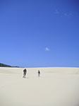 PICT3491.jpg