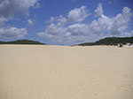 PICT3503.jpg