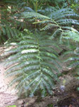 PICT3571.jpg