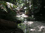 PICT3578.jpg