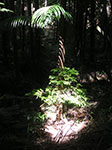 PICT3583.jpg