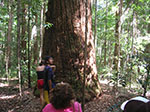 PICT3587.jpg