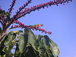 PICT3607.jpg