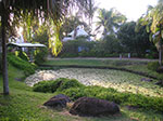 PICT3610.jpg