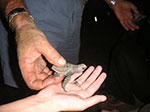 PICT3645.jpg