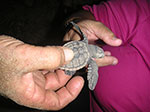 PICT3648.jpg