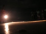 PICT3666.jpg