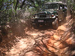 PICT3682.jpg