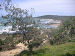 PICT3697.jpg