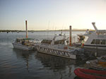 PICT3758.jpg