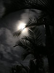 PICT3803.jpg
