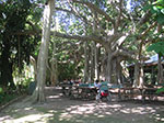 PICT3806.jpg