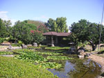 PICT3818.jpg