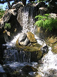 PICT3819.jpg