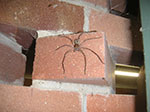 PICT3826.jpg