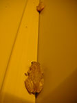 PICT3902.jpg