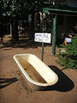 PICT3904.jpg