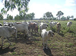 PICT3918.jpg
