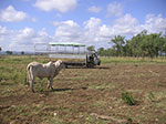 PICT3919.jpg