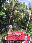 PICT4029.jpg