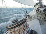 PICT4093.jpg