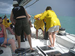 PICT4267.jpg