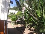 PICT4409.jpg