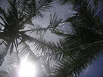 PICT4416.jpg