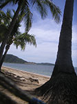 PICT4418.jpg