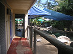 PICT4421.jpg