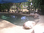 PICT4422.jpg