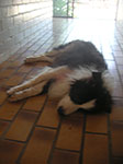 PICT4423.jpg