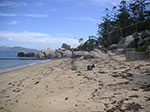 PICT4435.jpg