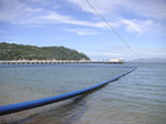 PICT4438.jpg