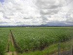 PICT4527.jpg