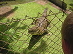 PICT4531.jpg