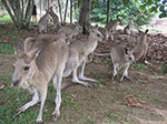 PICT4563.jpg