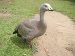 PICT4575.jpg