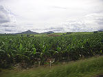 PICT4597.jpg