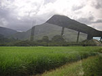 PICT4602.jpg