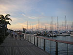 PICT4667.jpg