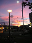 PICT4698.jpg