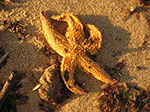 PICT4826.jpg