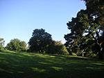 PICT5293.jpg