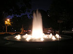 PICT5311.jpg