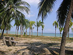 PICT5515.jpg