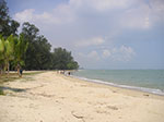 PICT5517.jpg