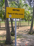 PICT5524.jpg