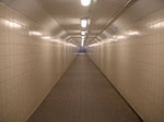 PICT5535.jpg