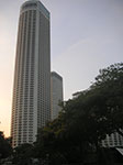 PICT5551.jpg